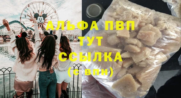 сатива Волоколамск