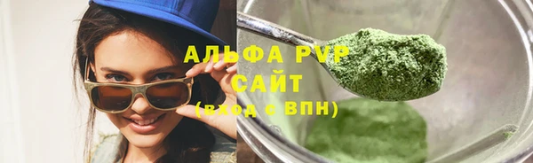 сатива Волоколамск