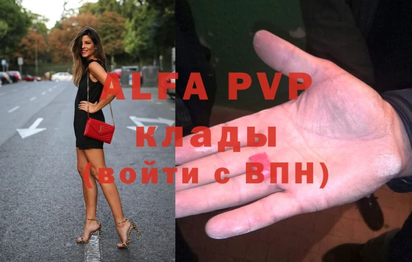 сатива Волоколамск
