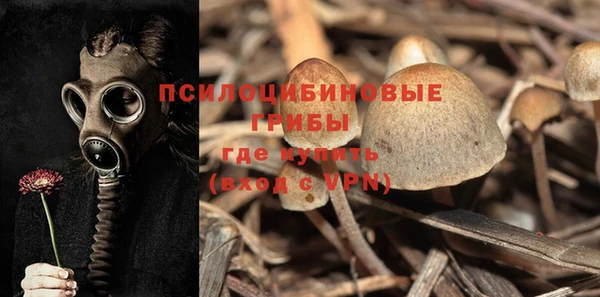 сатива Волоколамск