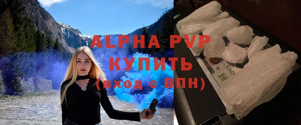 сатива Волоколамск